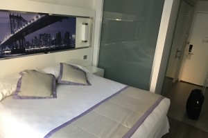 Riu Plaza Times Square image