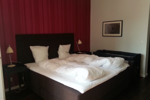 First Hotel Grand image